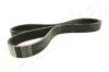 ASHIKA 112-6PK1220 V-Ribbed Belts